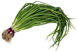 Spring onion