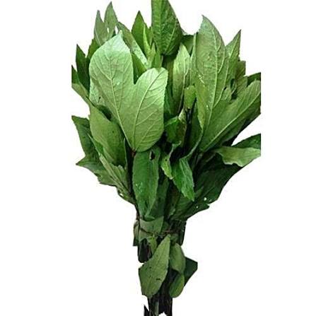 Sorrel leaves/Gongura
