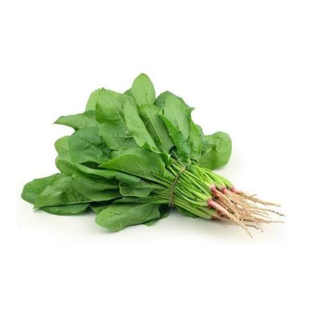 Spinach leaves /palak