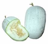 Ash Gourd