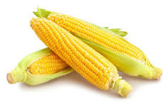 Sweet corn