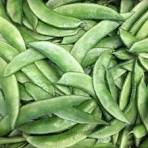 Broad beans